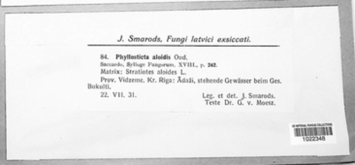 Phoma aloidis image